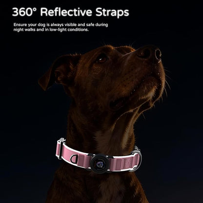 Airtag Dog Collar, Dog Collar with airtag Holder, IP68 Waterproof Leather Dog Collar with Metal Buckle & Lockable Airtag Holder, Heavy Duty Adjustable for Small Medium Large Dogs (Pink L)