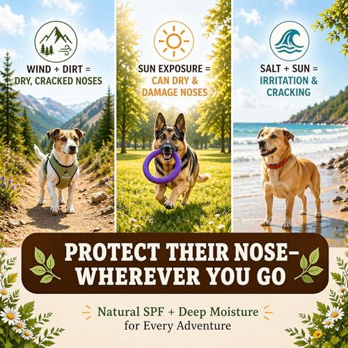 Natural Dog Company Snout Soother Dog Nose Balm – Moisturizer for Dry Crusty Noses, Summer Care for Outdoor Dogs, Hot Weather, Beach Days & Walks with Coconut Oil & Shea Butter, 2 oz Tin (Pack of 2)