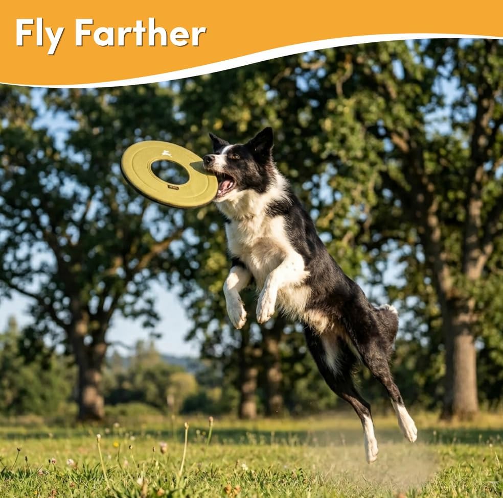 OllyDog Super Flyer Dog Flying Disc – Floating Fetch Toy for Water Play, Soft Eco-Friendly Recycled Fabric, Gentle on Teeth, 11" for Medium & Large Dogs (Alchemy, 11")