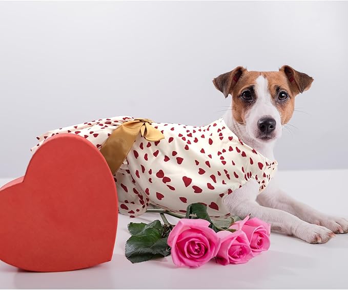 Valentines Day Dog Costume Dress S, Cream White with Red Heart Print Golden Bow, Glitter Heart Pet Outfit for 6-7 lbs Dogs and Cats, Romantic Holiday Clothing