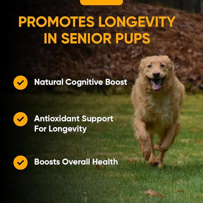 iHeartDogs Senior Super 7 Daily Dog Multivitamin - 7-in-1 Vitamin for Dogs Supports Anti-Aging with Antioxidants, Probiotics, Lion's Mane, Turkey Tail, & Ashwagandha for Longevity & Cognitive Boost