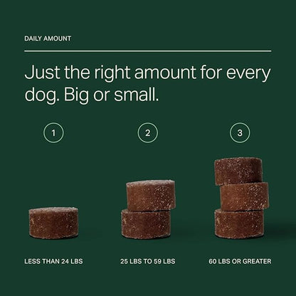 Longevity+ Dog Health Supplement - Dog Vitamins and Supplements for Joint, Muscle, Immune, and Cognitive Health - Vet-Formulated and Made in the USA - for Large Dogs 60 lbs or Greater - 30 Day Supply