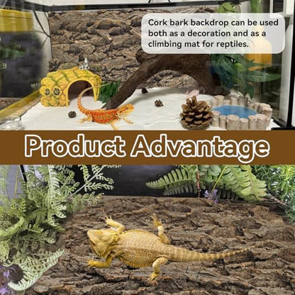 2PCS Reptile Cork Bark Background,15.74 x 11.81 Inch Natural Cork Wood Terrarium Background Bearded Dragon Tank Bark Backdrop Wall Decor for Lizard Gecko Chameleon Tortoise Snake Spider Frog