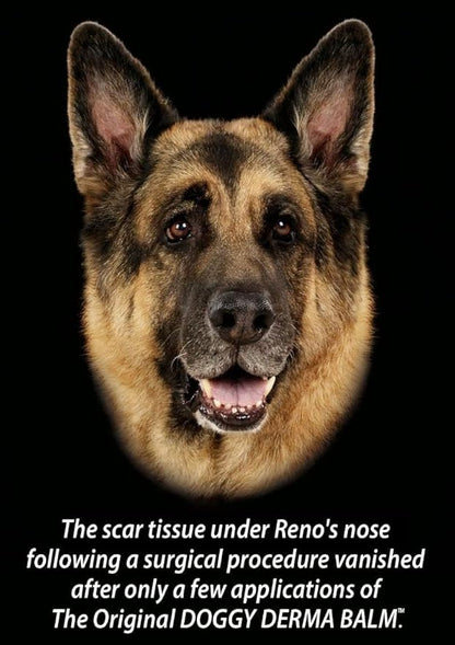 Doggy Derma Balm Jumbo-Sized Skin Repair Stick w/Manuka Honey. Soothes & Heals Dog's Dry Cracked Noses, Paws, Bulldog Wrinkles 100% Natural (1-Pack)