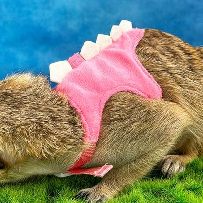 Ferret Harness and Leash Set Small Animals Vest Harness with Safe bell Dinosaur Shaped Walking clothes for Baby Rabbit Guinea pig Teacup Chihuahua Mouse and other small pet. (Pink Dinosaur)