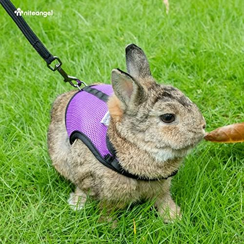 Niteangel Adjustable Soft Harness with Elastic Leash for Rabbits (M, Pink)