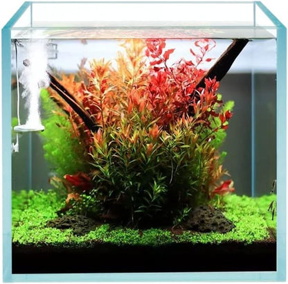 Cube Rimless Frameless Extra Clear All Glass Aquarium, 5mm Low Iron Glass, White Leveling Mat Included, w/Lids Options, Perfect for Fish & Shrimps