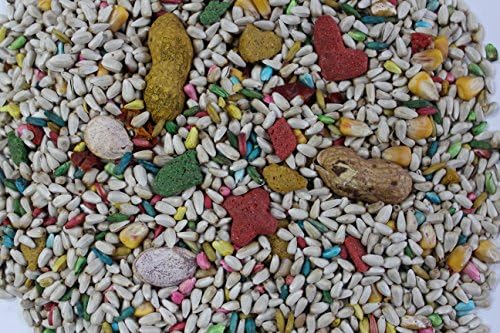 L'Avian Plus Premium Fortified Parrot No Sunflower - 25 Lbs.