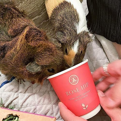 GuineaDad Organic Guinea Pig Herbal Treats - Guinea Pig Food with Convenient Packaging - Rose Hip Flavor - 10 fl. oz - Guinea Pig Treats Help with Bonding - High in Nutrition, Immune Support - Small