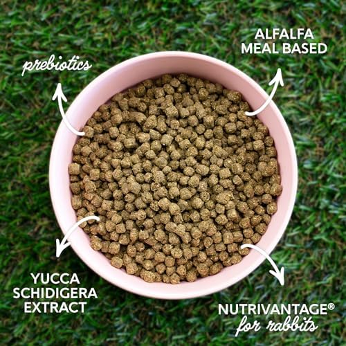 Blue Seal Fresh Show Hutch Deluxe 17 Rabbit Food - Resealable Packaging to Hold in Freshness, Promotes a Healthy Digestive System and Proper Intake - 4.5 LB Bag (Pack of 2)