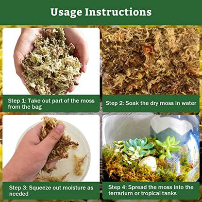 Riare 5.3oz Natural Sphagnum Moss for Reptiles- Terrarium Reptiles Moss