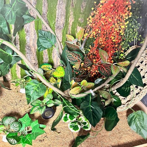 Tfwadmx Reptile Plants Decor,Bearded Dragon Hammock Vine Tank Accessories