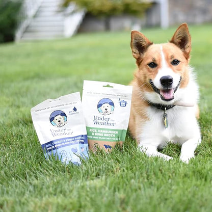 Dog lying on grass with packages of 'Under the Weather' pet product