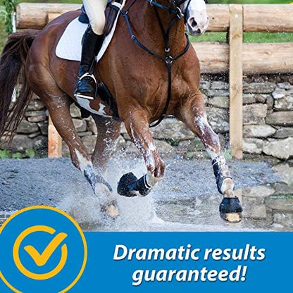 Farnam Fluidflex Glucosamine Joint Supplement for Horses, 32 oz., 32 Day Supply