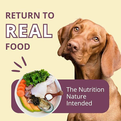 Steve's Real Food Freeze-Dried Raw Nuggets - Chicken Recipe - Raw Pet Food for Dogs - 20 oz