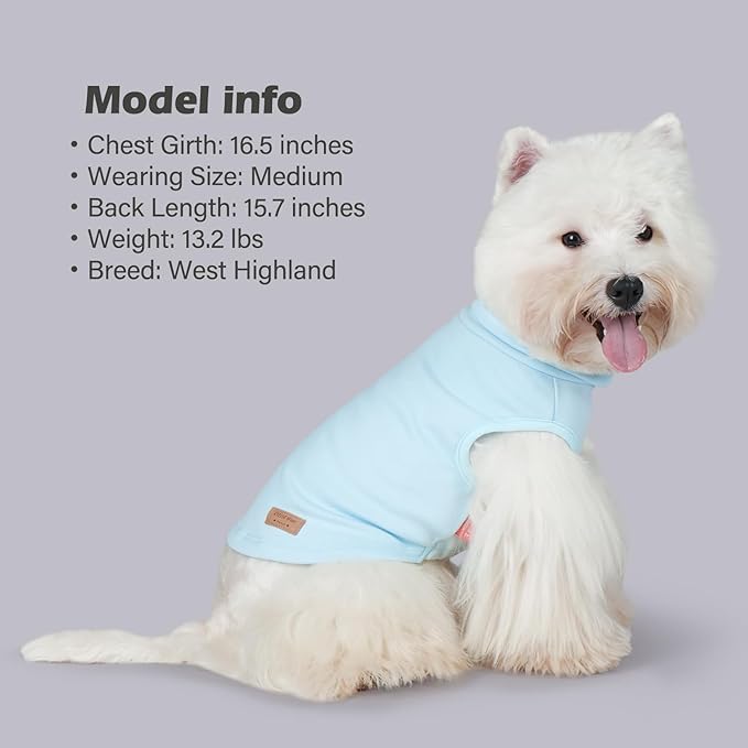 KYEESE 2Pack Dog Sweater Turtleneck Small Pets Sweaters Warm Pet Coats Soft Pets Clothes Pullover Pets Sweatshirt Dog Sweaters for Small Dogs Male Stretchy Dogs Clothes