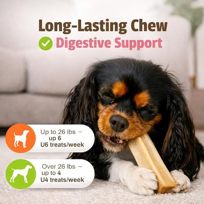 Pet Naturals BusyButter Balanced Belly Peanut Butter Bones, Rawhide-Free Chews for Small Dogs, Long Lasting Chew Bones, Probiotics and Pumpkin for Gut Health, 22 Count