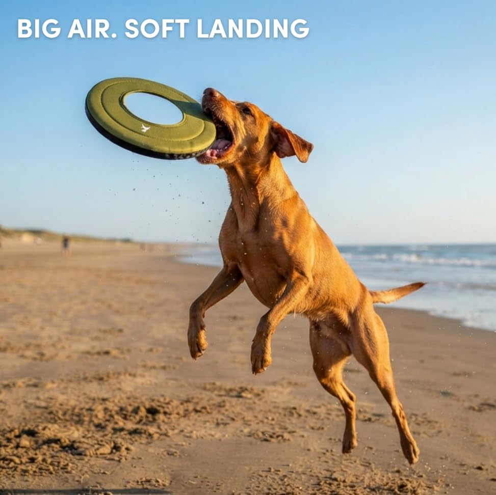 OllyDog Mini Super Flyer, Dog Flying Disc – Floating Fetch Toy, Soft on Teeth, Eco-Friendly Recycled Material, Lightweight, for Small & Medium Dogs (Palm, 9")