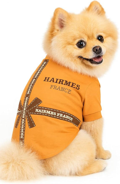 Luxury Designer Dog T Shirt – Cute Puppy Clothes for Small Dogs, Fashion Pet Tee Outfit for French Bulldogs & Chihuahuas, Everything Chic Dog Apparel
