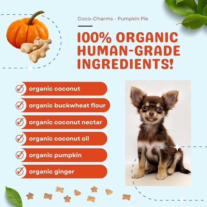 Cocotherapy Coco-Charms Training Treats – Pumpkin Pie, (1 Pouch), 5 Oz.
