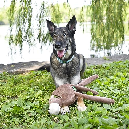 Savanna Collection Dog Toys | Jumbo Sized Elephant and Camel Plush Dog Toys - Stuffed Animals | Cute, Durable, & Sustainable Plush Chew Toys for Dogs | Eco Friendly & 100% Recycled Materials