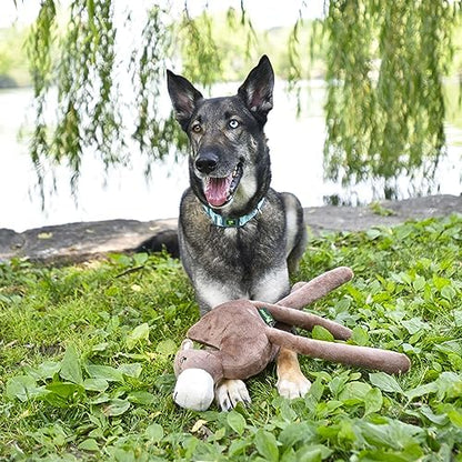 Savanna Collection Dog Toys | Jumbo Sized Elephant and Camel Plush Dog Toys - Stuffed Animals | Cute, Durable, & Sustainable Plush Chew Toys for Dogs | Eco Friendly & 100% Recycled Materials