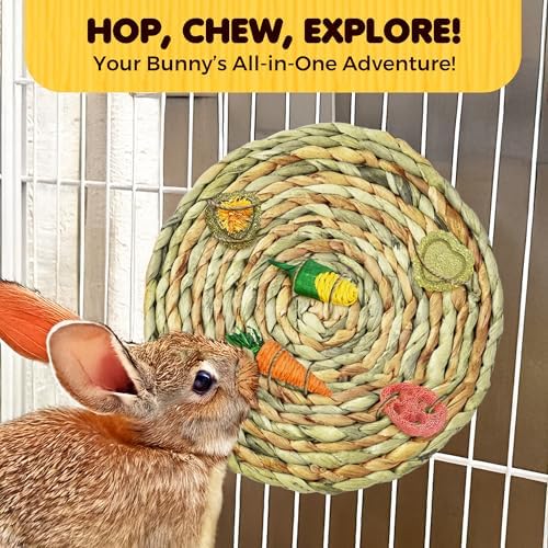 SunGrow Round Rabbit Grass Mat, Chew Toy for Guinea Pigs and Hamsters, Enclosure Bedding for Small Animals, Gnawing and Relaxation Hideout Spot, 8" x 0.7", 1 Pc    