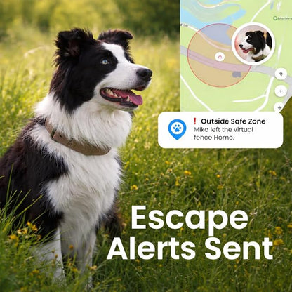 Pet GPS Tracker for Dogs Real Time Tracking, Subscription Required | Lightweight IP65 Waterproof, Fit Most Collar, Activity & Wellness monitoring, Geo-fence Alert, Double Anti-lost