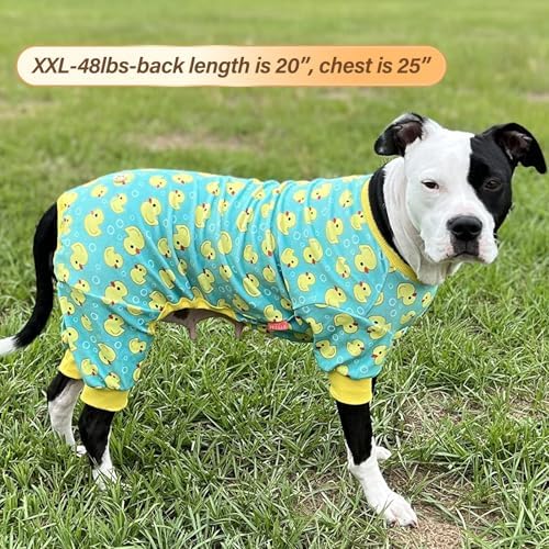 KYEESE Velvet Dog Pajamas for Medium Large Dogs Soft Onesie, Whale
