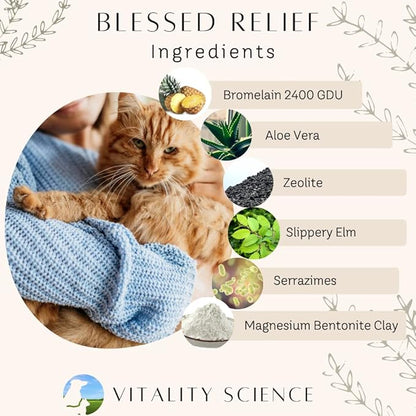 Vitality Science Blessed Relief for Dogs | Seasonal Allergy Support | Soothes Skin Problems | Promotes Normal Respiratory Function | Reduces Inflammation | Boosts Immune Health | 100% Safe and Natural