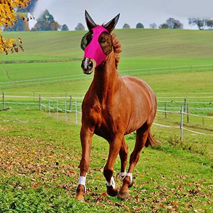 Weewooday 2 Pcs Horse Fly Mask with Ears, Soft Stretchy Horses Face Masks for Flies, Breathable Mesh Eye Cover, UV Protection Horse Masks for Pasture, Barn, Turnout(L,Purple, Pink)