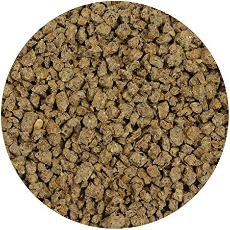 Exotic Nutrition Mealworm Chow 1 lb. - Highly Nutritional Healthy Feed for Breeding Live Feeder Mealworms (1 lb)