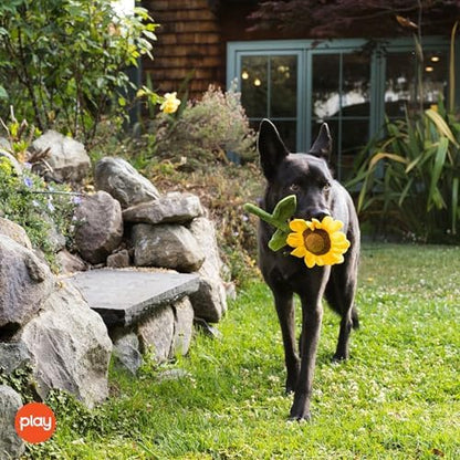 P.L.A.Y. Cute Plush Dog Toys - Blooming Buddies, Plant Themed Durable Squeaker Chew Toy, Great for Puppies & Small, Medium, Large Dog Breeds - Machine Washable, Recycled Materials (Sassy Sunflower)