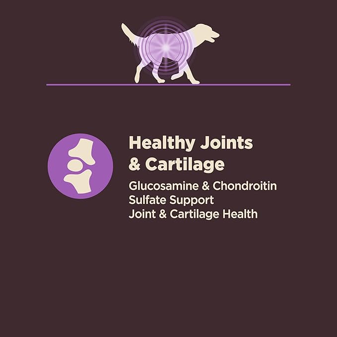 Wellness CORE Digestive Health Age Advantage Senior Dry Dog Food, Wholesome Grain Kibble, Sensitive Stomach, Natural, High Protein, Chicken and Brown Rice Recipe, 4 lb Bag