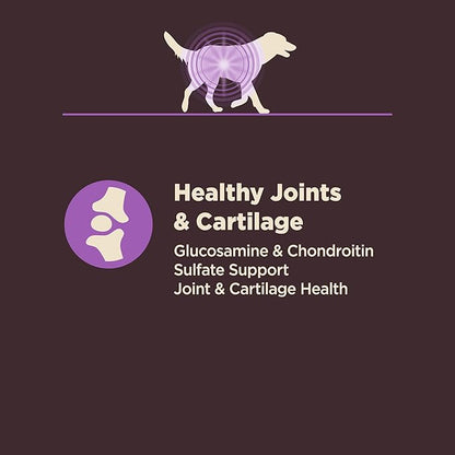 Wellness CORE Digestive Health Age Advantage Senior Dry Dog Food, Wholesome Grain Kibble, Sensitive Stomach, Natural, High Protein, Chicken and Brown Rice Recipe, 4 lb Bag