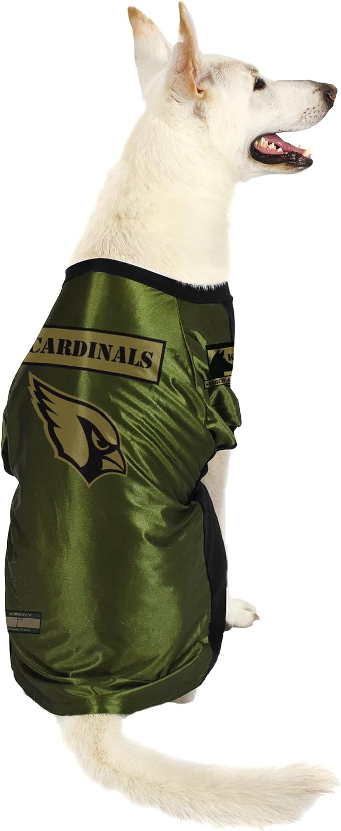 Littlearth NFL Valor Pet Stretch Jersey
