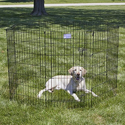 MidWest 42-Inch Exercise Pen, Single Door, 16 Sq Ft Play Area