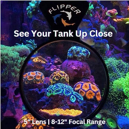 Flipper DeepSee 5" Magnetic Aquarium Viewer – Optical-Grade Magnifying Lens for Glass & Acrylic Tanks up to 5/8" Thick – Hands-Free Underwater Viewing for Fish, Corals & Aquarium Photography – Black
