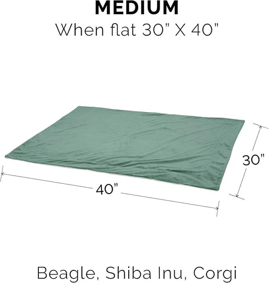 Furhaven Waterproof Throw Blanket for Dogs & Indoor Cats, Washable - Two-Tone Luxe Velvet Dog Blanket - Celadon Green, Medium