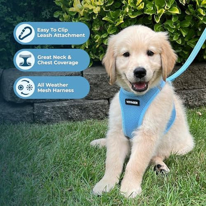 Best Pet Supplies Voyager Step-in Air All Weather Mesh Harness and Reflective Dog 5ft Leash Combo with Neoprene Handle, for Small, Medium and Large Breed Puppies - Baby Blue, Medium