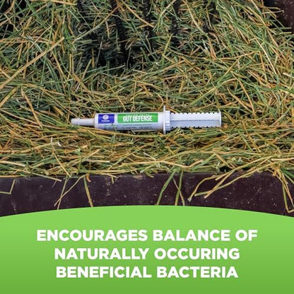Equine Total Gut Defense– All-Natural Digestive & Immune Support Supplement for Horses – Maintains Ph Levels – Supports Digestion - 100% Natural – Made in USA