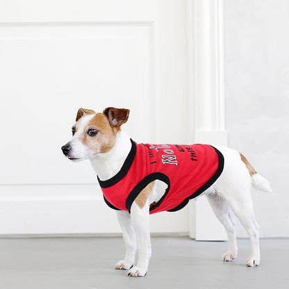 4 Pieces Dog Clothes for Small Dogs Boy Soft Dog Shirts Cute Chihuahua Yorkie Teacup Dog Clothes Pet Puppy Cat Tiny Dog Outfits (X-Small)
