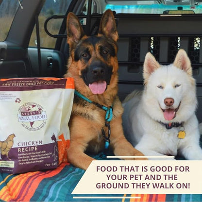 Steve's Real Food Freeze-Dried Raw Nuggets - Chicken Recipe - Raw Pet Food for Dogs - 20 oz