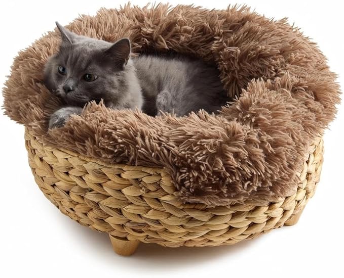 Cat Luxury Large Cat Bed for Indoor Cats, Plush Furniture for Comfort and Relaxation, Soft Covered Nest for Large Cats, Washable Warm Design with Modern Zen Style