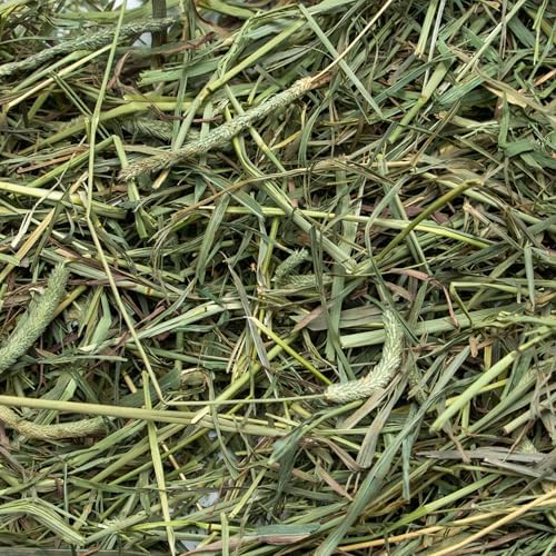 Rabbit Hole Hay - Ultra Premium Medium Timothy Hay for Small Pets - 4 oz Pack - Fresh & Nutritious