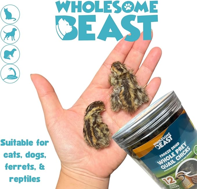 Freeze Dried Whole Prey Quail Chicks for Cats, Dogs, & Ferrets- Whole Feathered Quail Treats for Dogs- Single Ingredient- 12 Count