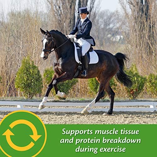 Farnam Vita Plus Balanced Multi-Vitamin & Mineral Horse Supplement, Vitamin Supplements, Provides Balanced Nutrition to Support Overall Health and Performance, 3.75 Pounds, 30 Day Supply