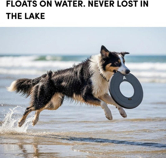 OllyDog Super Flyer Dog Flying Disc – Floating Fetch Toy for Water Play, Soft Eco-Friendly Recycled Fabric, Gentle on Teeth, 11" for Medium & Large Dogs (Castle Rock, 11")