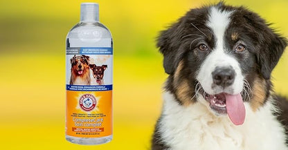 Arm & Hammer Dog Dental Water Additive Breath Freshener, Odorless Flavorless Oral Care Solution for Plaque and Tartar Control, Daily No Brush Dental Support for Dogs, 16 Fl Oz - 3 Pack