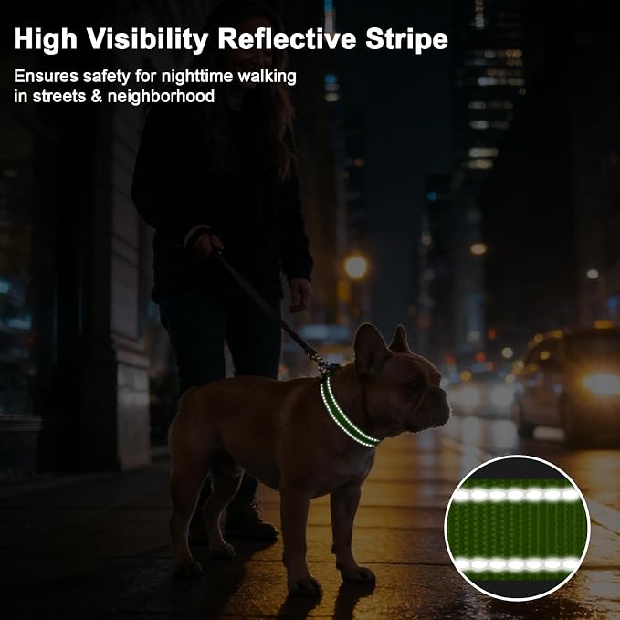 Taglory AirTag Dog Collar with Waterproof Holder for Small Dogs, Green, S | Reflective for Night Walks & Low-Light Safety, Track Your Pup Peace of Mind, Adjustable Soft Padded, No More Dangling Tags